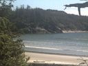 ./images/calvert/beach/20210613/beach20210613_150501.jpg