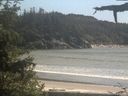 ./images/calvert/beach/20210613/beach20210613_155503.jpg