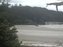 ./images/calvert/beach/20210615/beach20210615_132002.jpg
