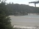 ./images/calvert/beach/20210615/beach20210615_140502.jpg