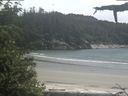 ./images/calvert/beach/20210615/beach20210615_152502.jpg