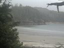 ./images/calvert/beach/20210616/beach20210616_073502.jpg
