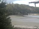 ./images/calvert/beach/20210616/beach20210616_094002.jpg