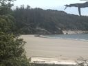 ./images/calvert/beach/20210616/beach20210616_144502.jpg