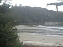 ./images/calvert/beach/20210617/beach20210617_102503.jpg
