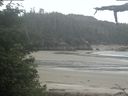 ./images/calvert/beach/20210617/beach20210617_114002.jpg