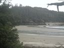 ./images/calvert/beach/20210617/beach20210617_114502.jpg