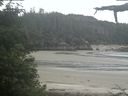 ./images/calvert/beach/20210617/beach20210617_115002.jpg
