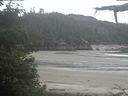 ./images/calvert/beach/20210617/beach20210617_115503.jpg