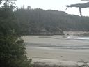 ./images/calvert/beach/20210617/beach20210617_120503.jpg