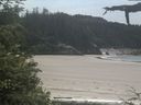 ./images/calvert/beach/20210618/beach20210618_140002.jpg