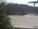 ./images/calvert/beach/20210618/beach20210618_152501.jpg