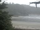 ./images/calvert/beach/20210619/beach20210619_122002.jpg