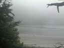./images/calvert/beach/20210621/beach20210621_062002.jpg