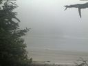 ./images/calvert/beach/20210621/beach20210621_062503.jpg