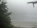 ./images/calvert/beach/20210621/beach20210621_065003.jpg