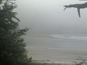 ./images/calvert/beach/20210621/beach20210621_070502.jpg