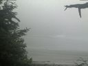 ./images/calvert/beach/20210621/beach20210621_071003.jpg