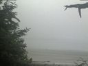 ./images/calvert/beach/20210621/beach20210621_071503.jpg