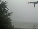 ./images/calvert/beach/20210621/beach20210621_072002.jpg