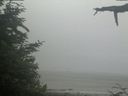 ./images/calvert/beach/20210621/beach20210621_072501.jpg