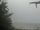 ./images/calvert/beach/20210621/beach20210621_073501.jpg