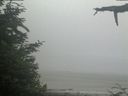 ./images/calvert/beach/20210621/beach20210621_074501.jpg
