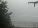 ./images/calvert/beach/20210621/beach20210621_075001.jpg