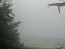./images/calvert/beach/20210621/beach20210621_075501.jpg