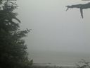 ./images/calvert/beach/20210621/beach20210621_080003.jpg