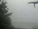 ./images/calvert/beach/20210621/beach20210621_080503.jpg