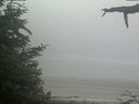 ./images/calvert/beach/20210621/beach20210621_081002.jpg