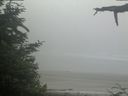./images/calvert/beach/20210621/beach20210621_081503.jpg