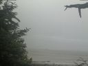 ./images/calvert/beach/20210621/beach20210621_082003.jpg
