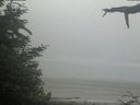 ./images/calvert/beach/20210621/beach20210621_082503.jpg