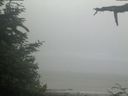 ./images/calvert/beach/20210621/beach20210621_083503.jpg