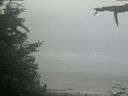 ./images/calvert/beach/20210621/beach20210621_084503.jpg