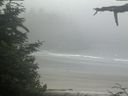./images/calvert/beach/20210621/beach20210621_085002.jpg