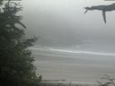 ./images/calvert/beach/20210621/beach20210621_085503.jpg