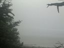 ./images/calvert/beach/20210621/beach20210621_091002.jpg