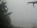 ./images/calvert/beach/20210621/beach20210621_091502.jpg