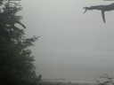 ./images/calvert/beach/20210621/beach20210621_092502.jpg