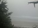 ./images/calvert/beach/20210621/beach20210621_093502.jpg
