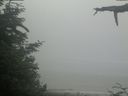 ./images/calvert/beach/20210621/beach20210621_094002.jpg