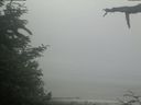 ./images/calvert/beach/20210621/beach20210621_094502.jpg