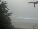 ./images/calvert/beach/20210621/beach20210621_095001.jpg