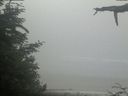 ./images/calvert/beach/20210621/beach20210621_095501.jpg