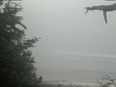 ./images/calvert/beach/20210621/beach20210621_100002.jpg