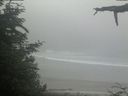 ./images/calvert/beach/20210621/beach20210621_100502.jpg
