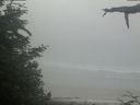 ./images/calvert/beach/20210621/beach20210621_101003.jpg